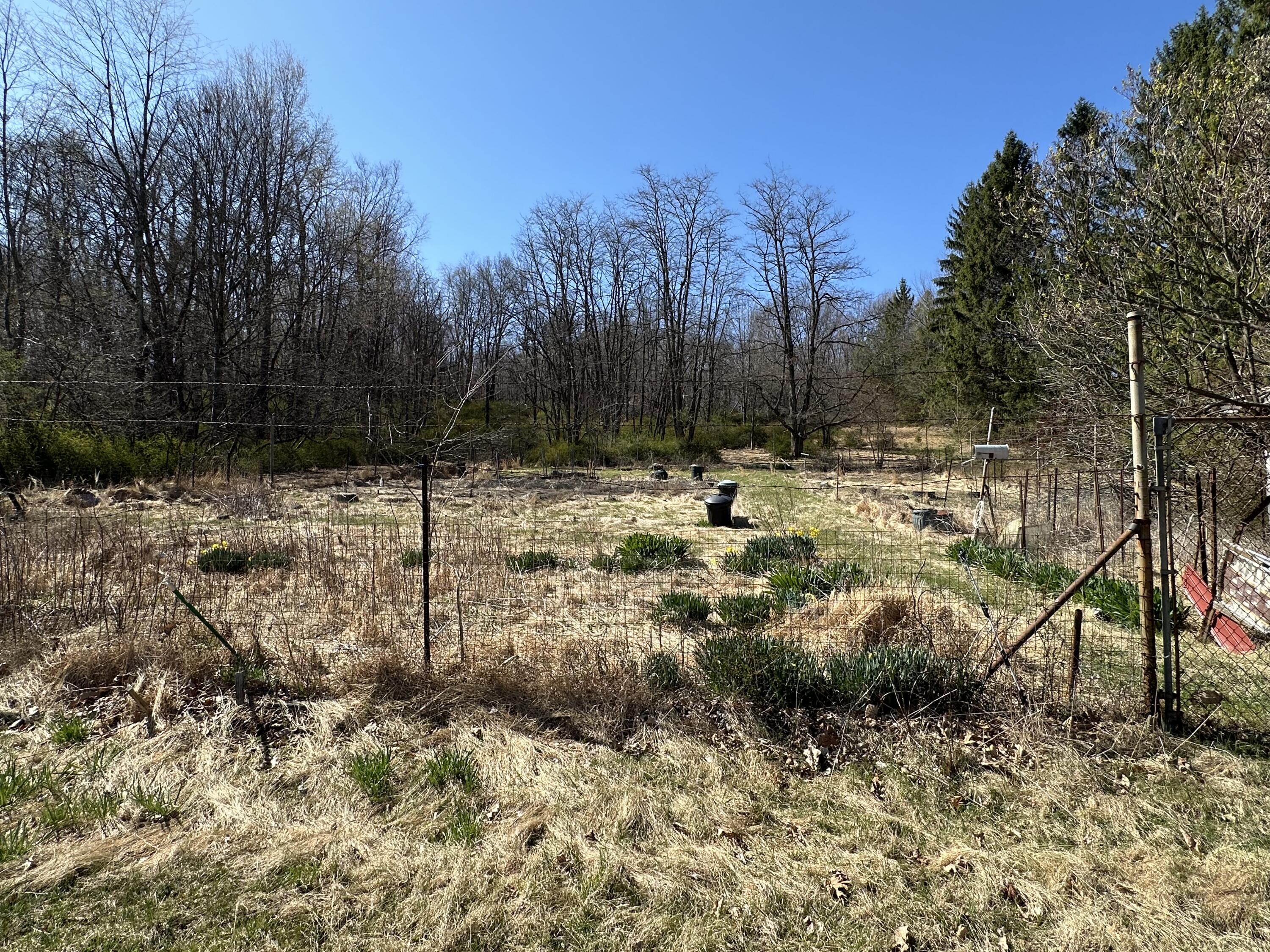 337 Summit Road Swiftwater, PA 18370 - Photo 13 of 35 a view of outdoor space with trees