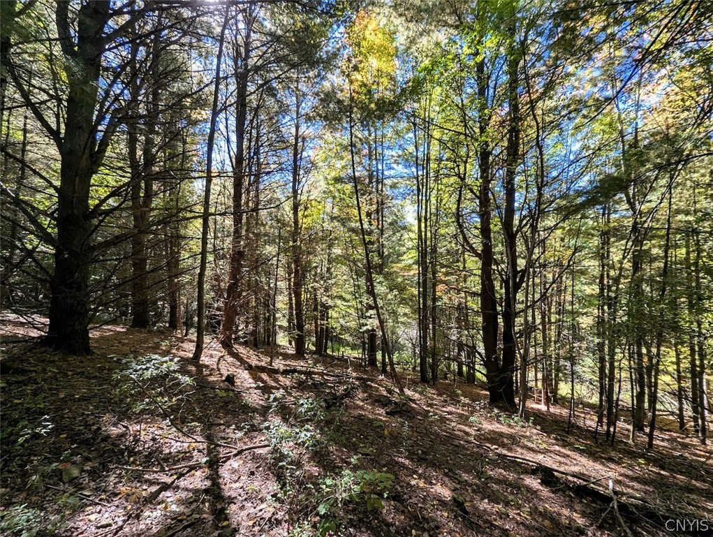 70 A County Road Hornell, NY 14843 - Photo 26 of 37 Gallery Image 26