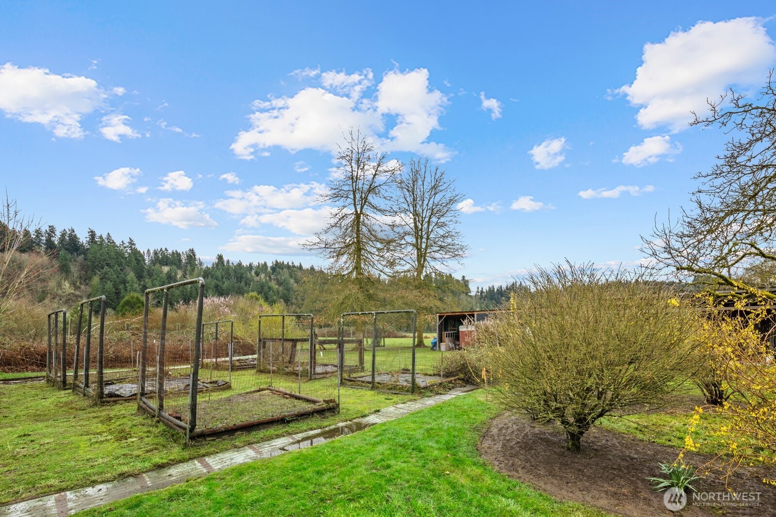20807 Orville Road East Orting, WA 98360 - Photo 21 of 35