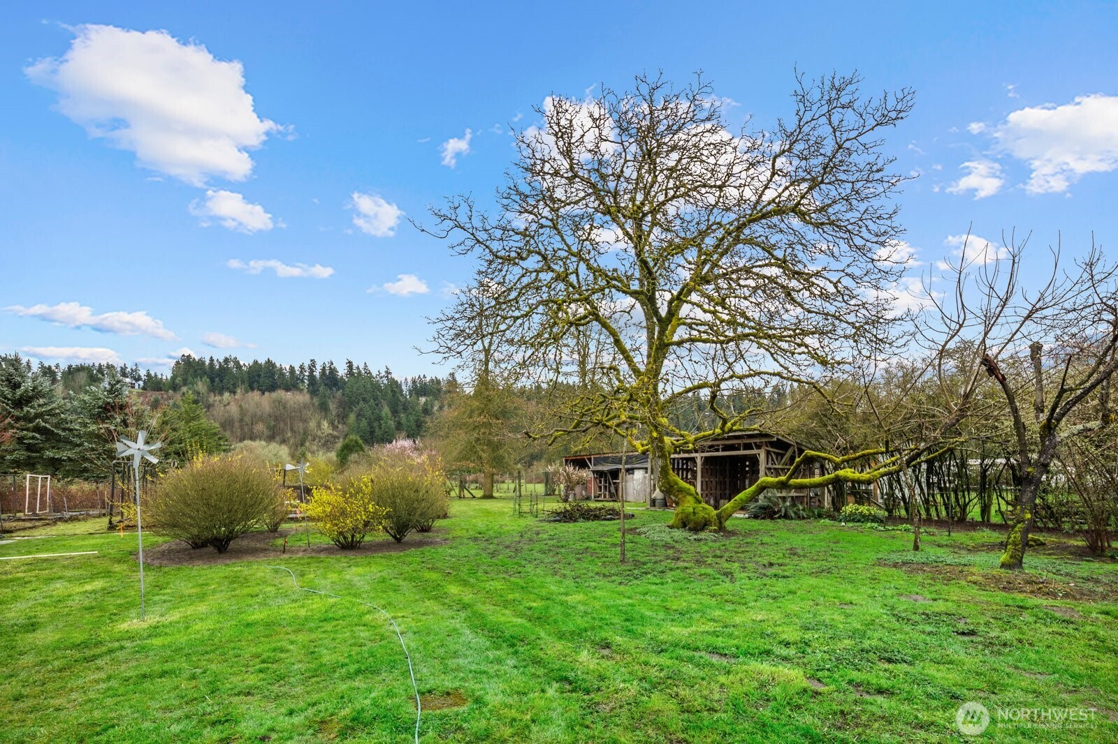 20807 Orville Road East Orting, WA 98360 - Photo 23 of 35