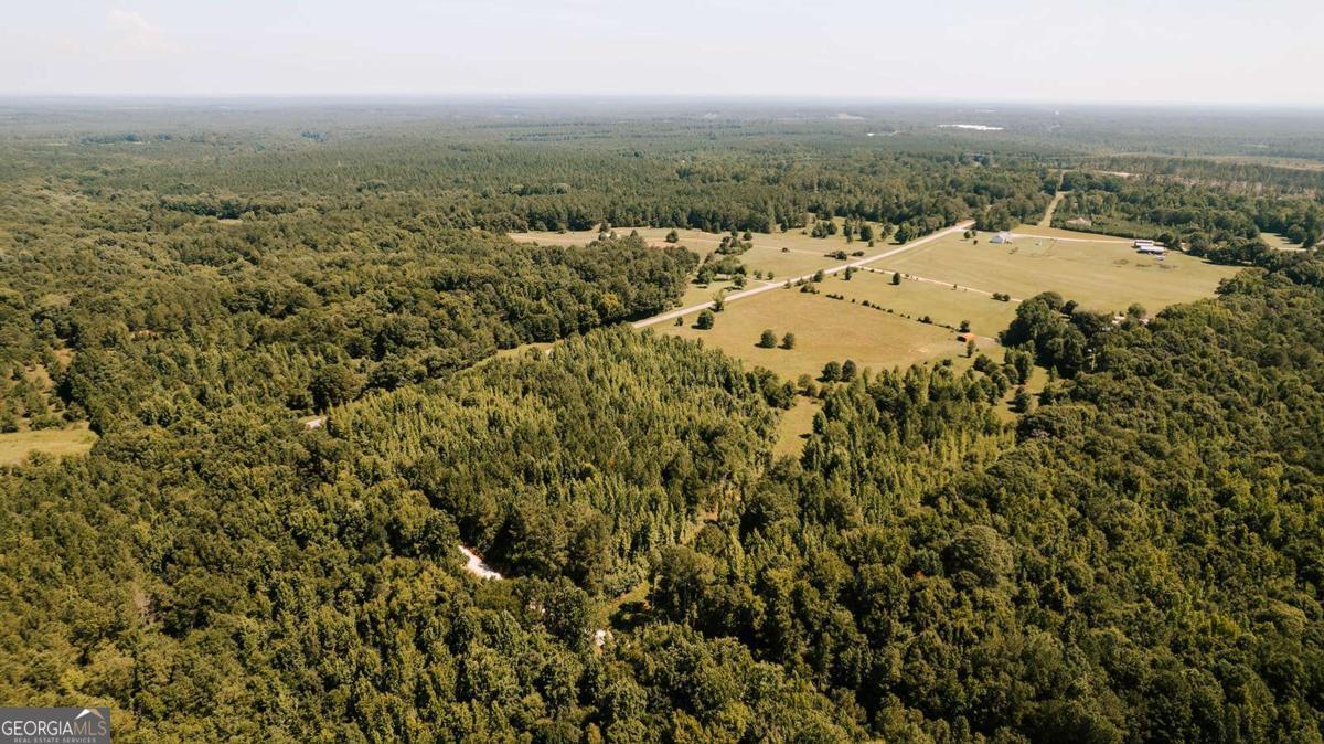 0 Lexington-Carlton Road Lexington, GA 30648 - Photo 15 of 20