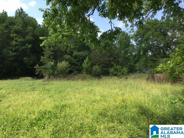 37-acres Joy Road, Unit 37 ACRES Hayden, AL 35079 - Photo 5 of 17