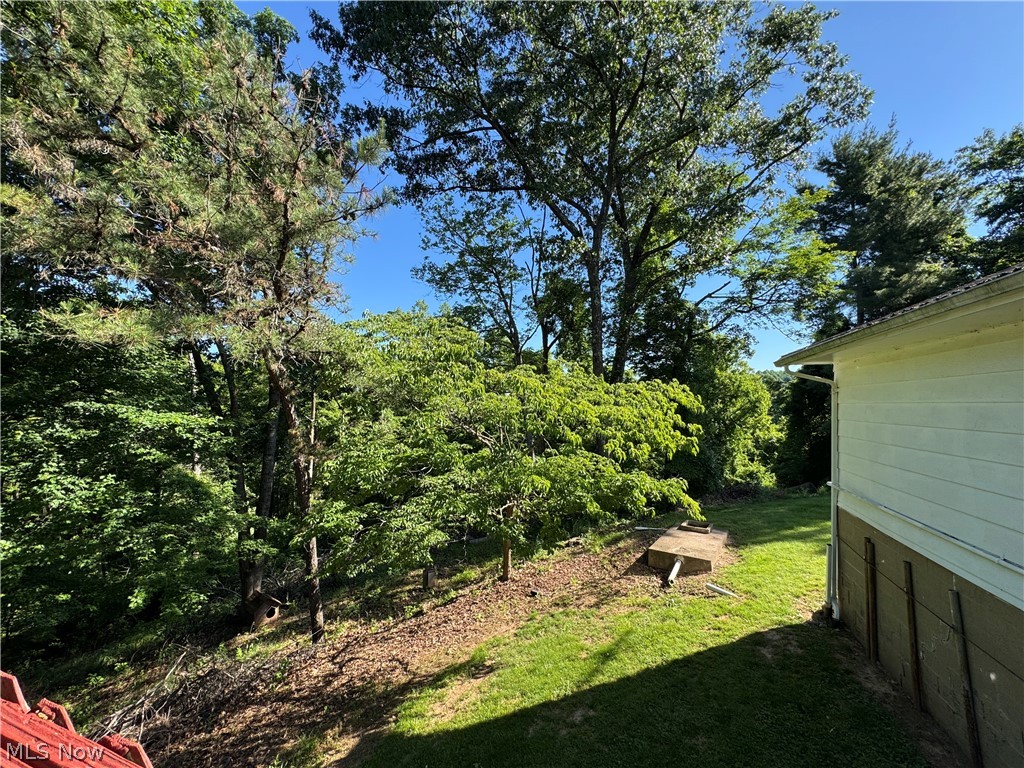 34731 Krieg Ridge Sardis, OH 43946 - Photo 17 of 34