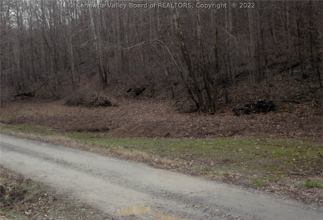 305 Andys Run Road Clendenin, WV 25045 - Photo 6 of 28 Gallery Image 6