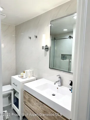 $10,000 | 940 Waters Avenue, Unit 304, Aspen, CO 81611