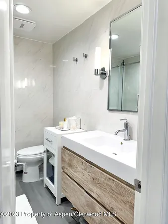 $10,000 | 940 Waters Avenue, Unit 304, Aspen, CO 81611