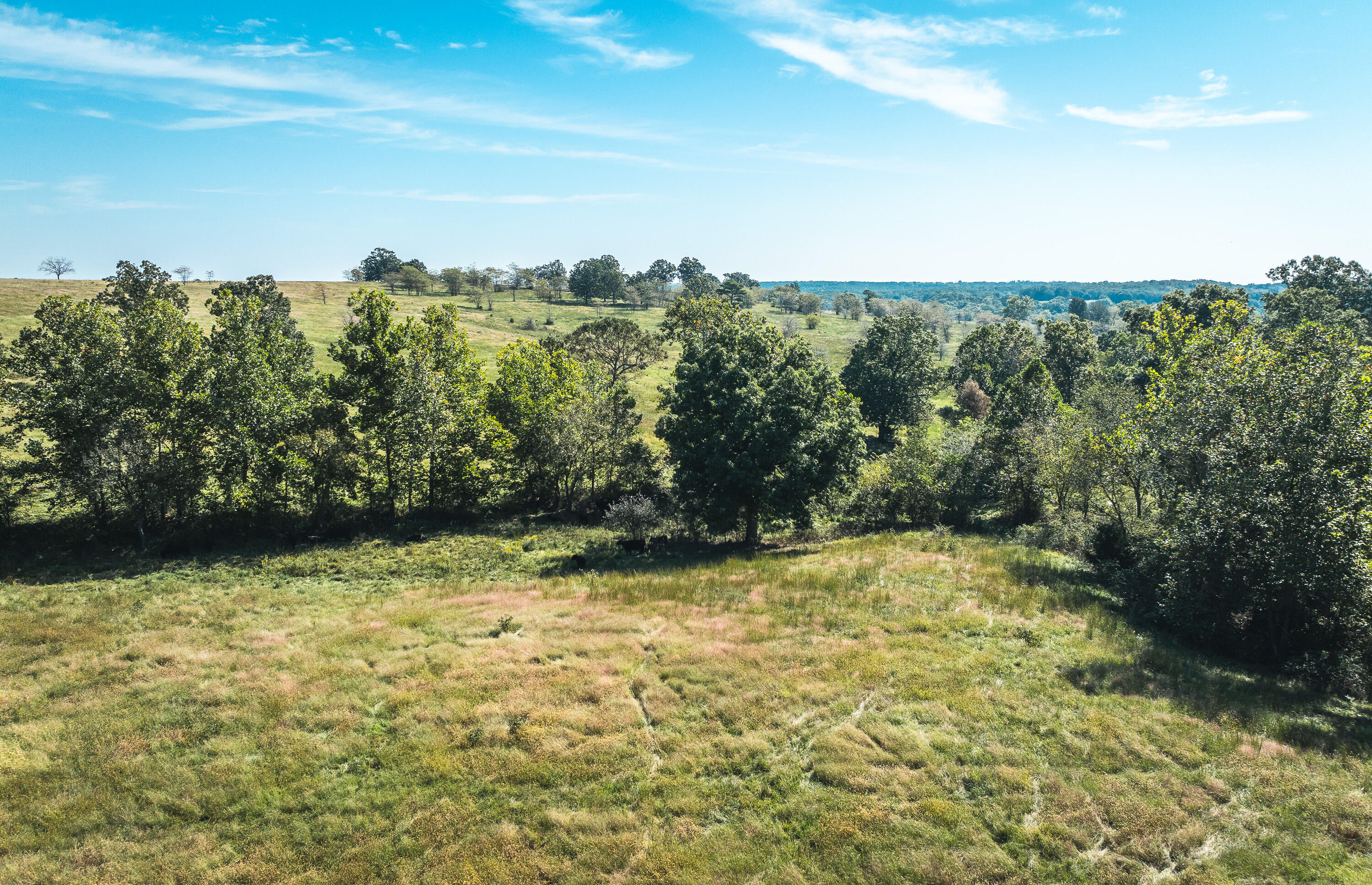 5451 Bado Road Cabool, MO 65689 - Photo 89 of 111 DJI_20240919105233_0252_D