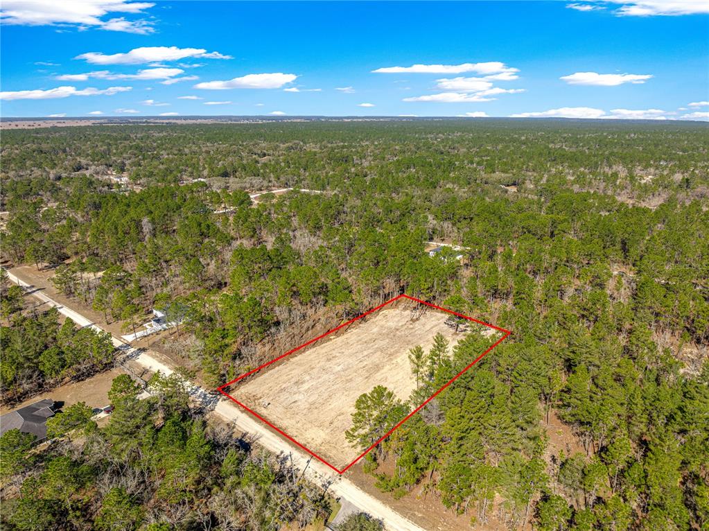 12185 Southwest 98th Street Dunnellon, FL 34432 - Photo 3 of 52