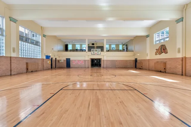 a view of green field with tree in the background