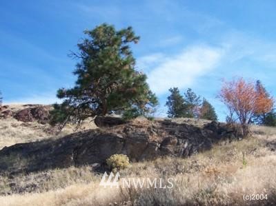 1 Wagon Wheel Road Oroville, WA 98844 - Photo 1 of 1 Gallery Image 1