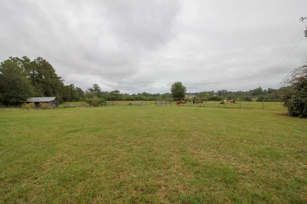 17092 Guy Road Kentwood, LA 70444 - Photo 20 of 31 Gallery Image 20