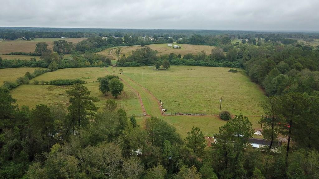 17092 Guy Road Kentwood, LA 70444 - Photo 21 of 31 Gallery Image 21
