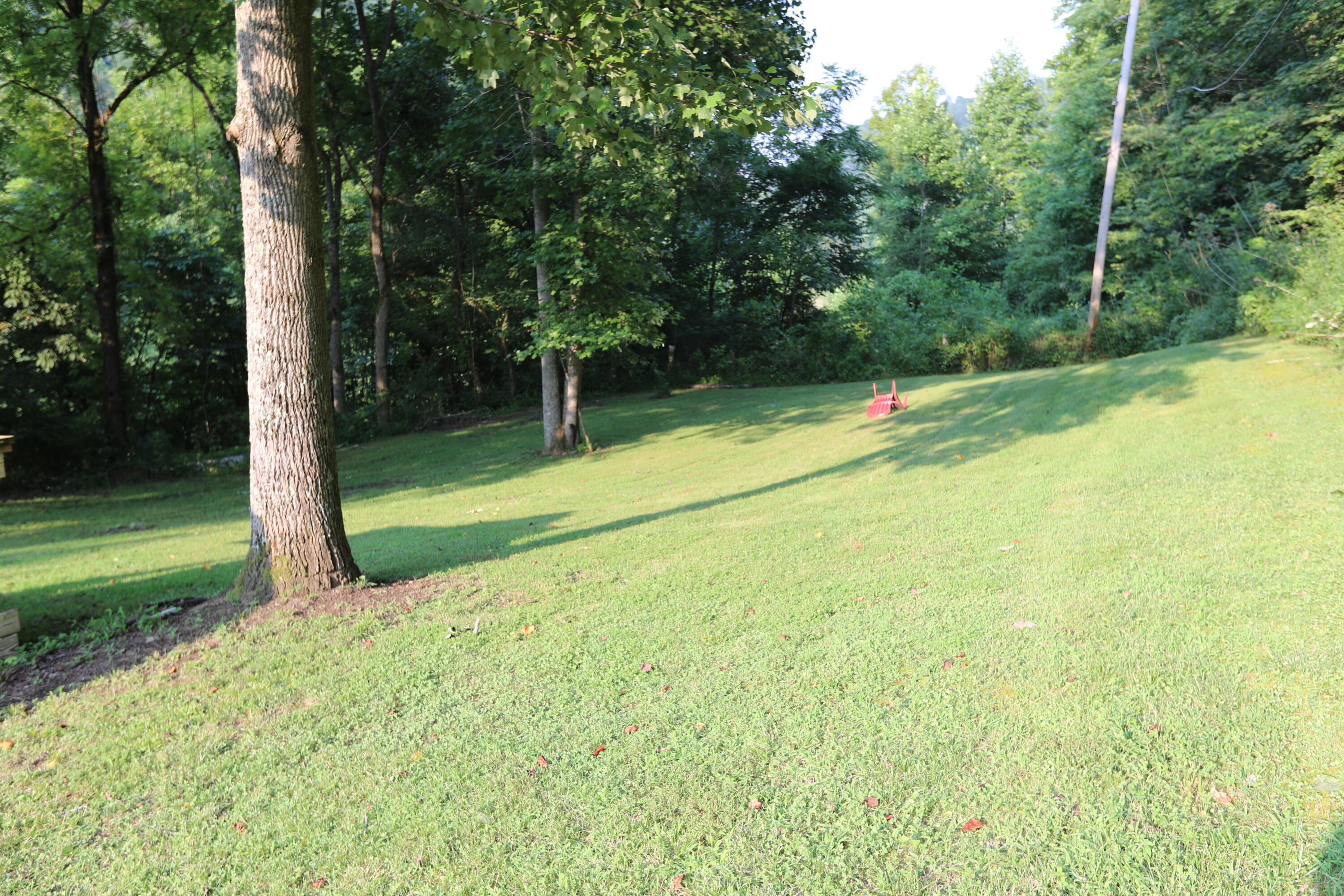 600 Billy Fork Road Irvine, KY 40336 - Photo 28 of 29 D49A5636