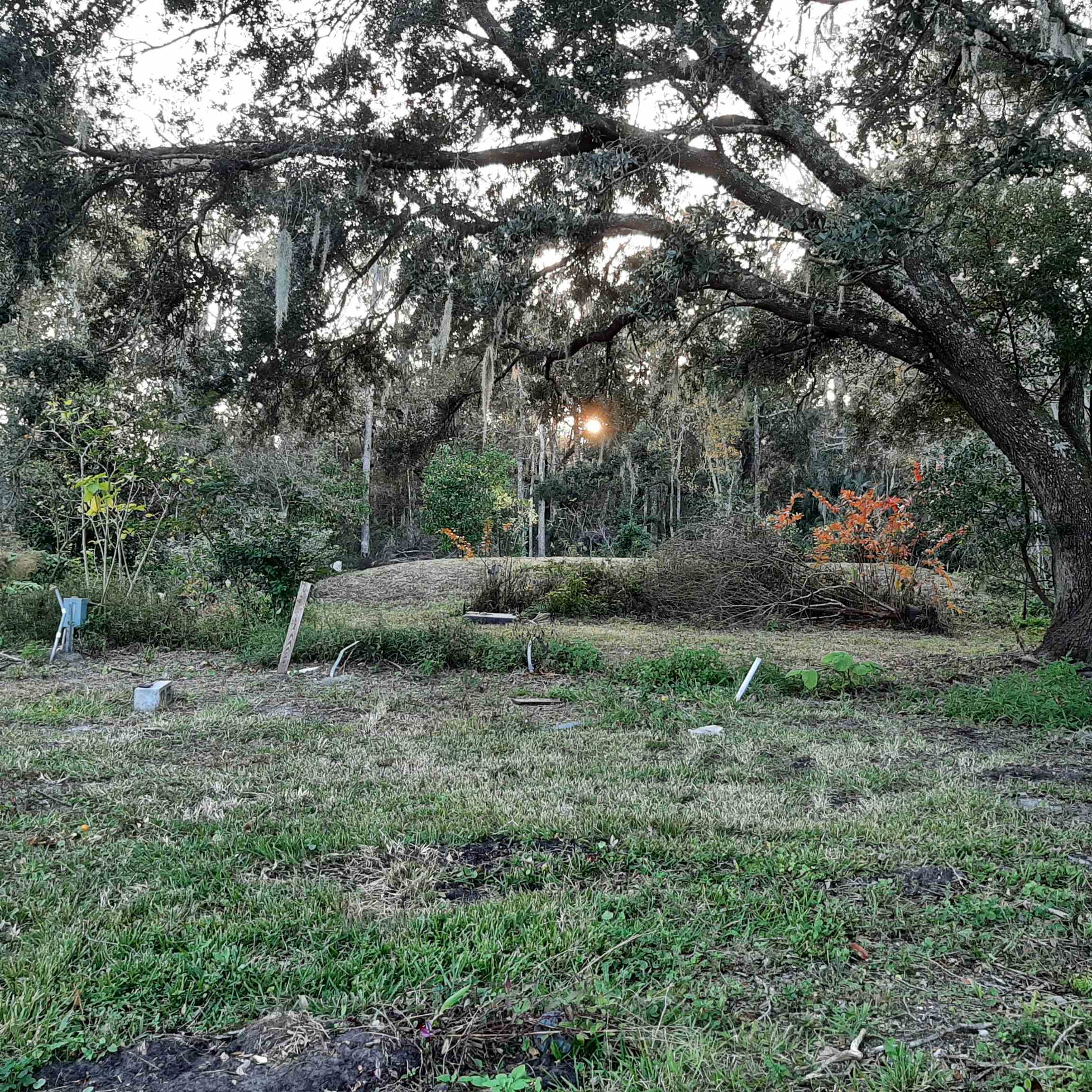 1941 Powell Road St. Augustine, FL 32084 - Photo 5 of 12