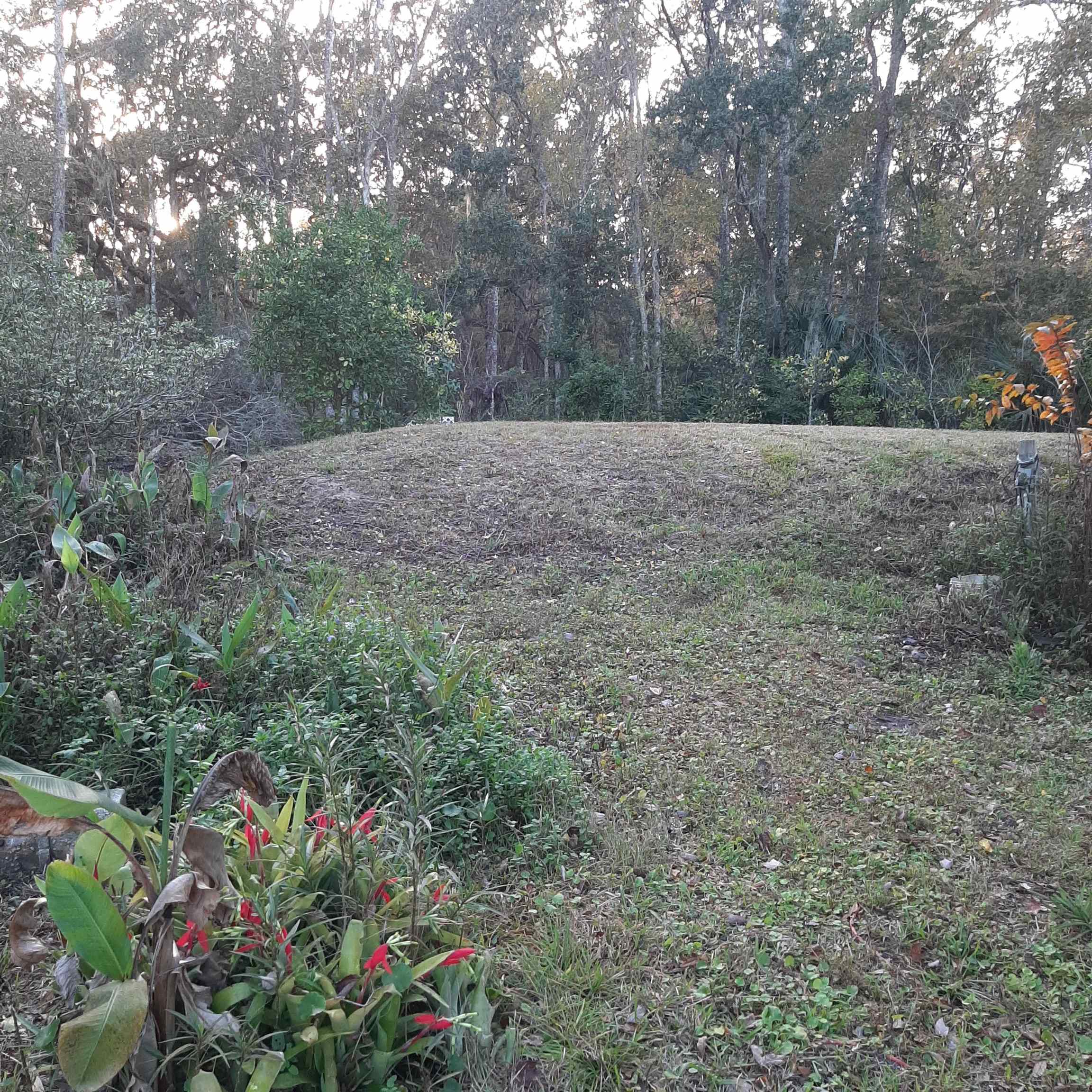 1941 Powell Road St. Augustine, FL 32084 - Photo 6 of 12