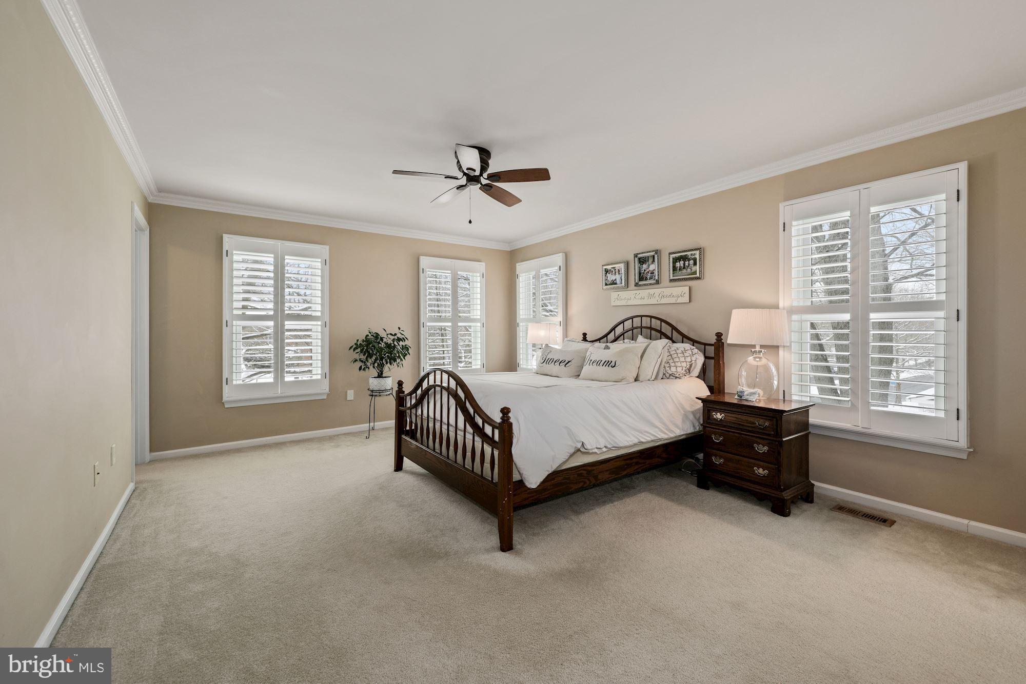 203 Tschiffely Square Road Gaithersburg, MD 20878 - Photo 16 of 38 Spacious & sunny main bedroom w/crown molding