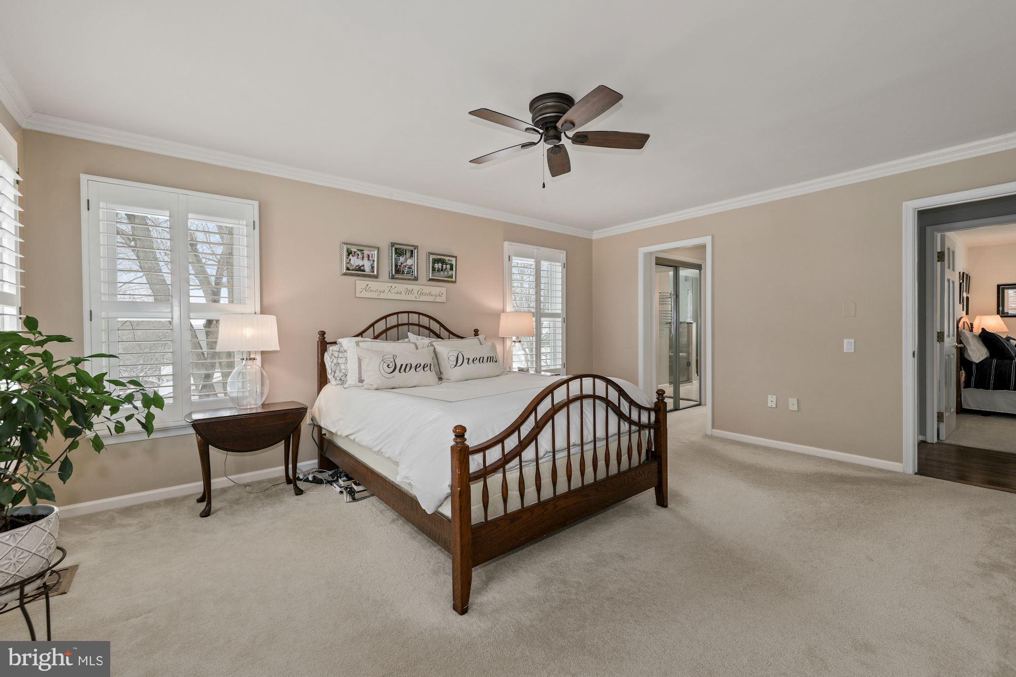 203 Tschiffely Square Road Gaithersburg, MD 20878 - Photo 17 of 38 Main bedroom w/plantation shutters & ceiling fan
