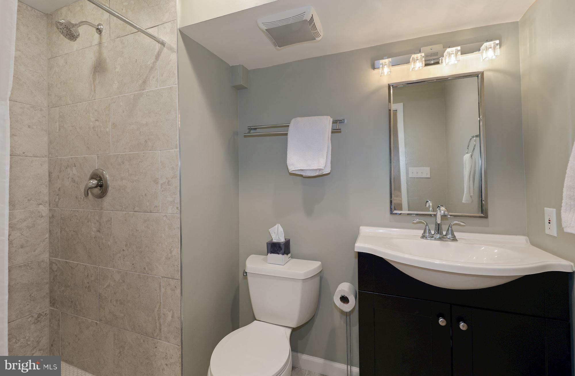 203 Tschiffely Square Road Gaithersburg, MD 20878 - Photo 27 of 38 Updated lower level 3rd full bath