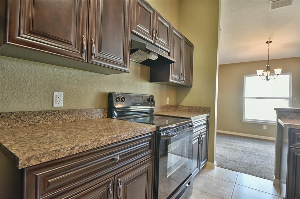 12177 Southwest 96th Lane Dunnellon, FL 34432 - Photo 12 of 28