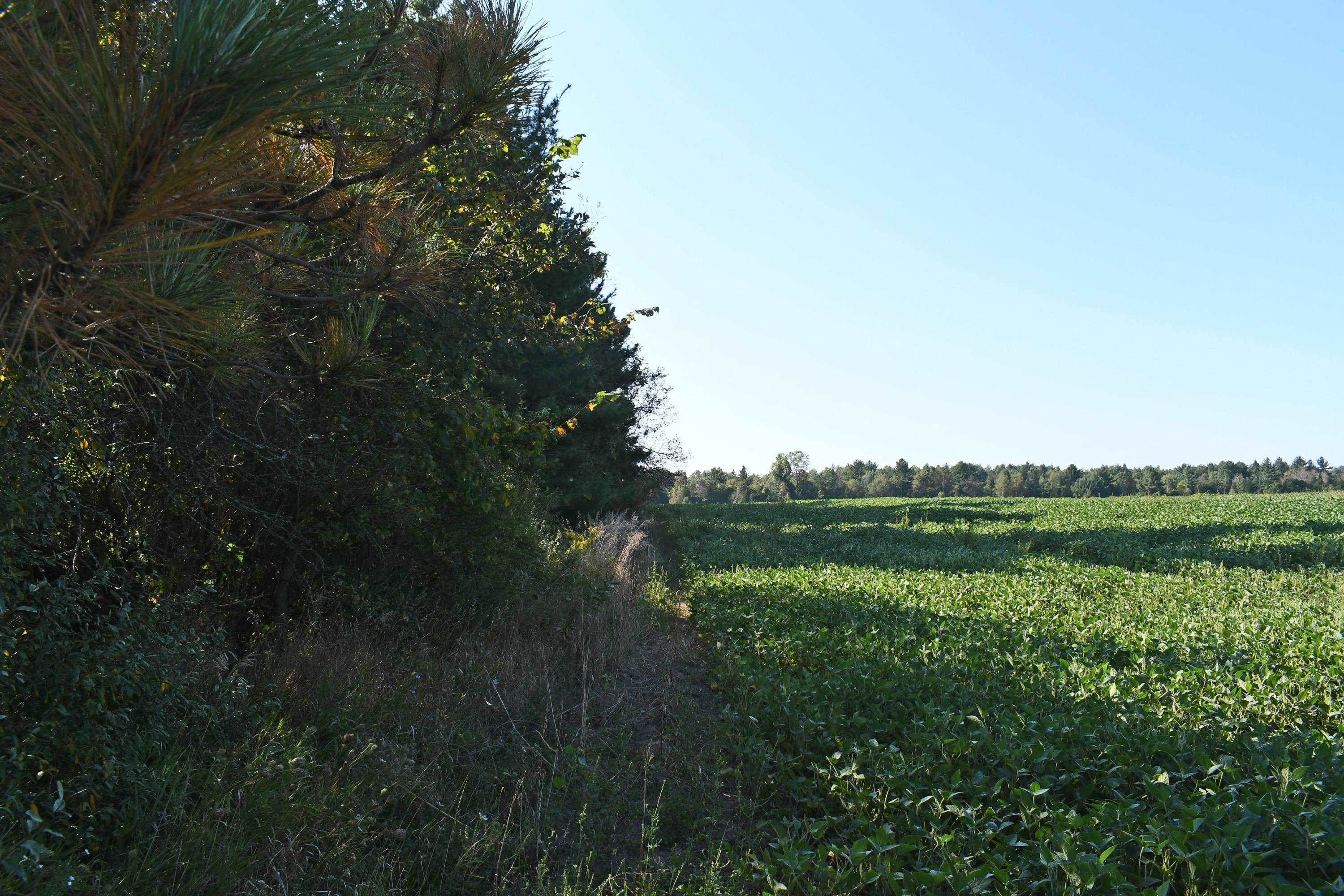 0 North Kobs Road Tawas City, MI 48763 - Photo 13 of 26