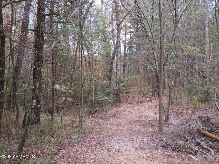 301 Co Road Heidelberg, MS 39439 - Photo 6 of 28 20251204211054177227000000-o