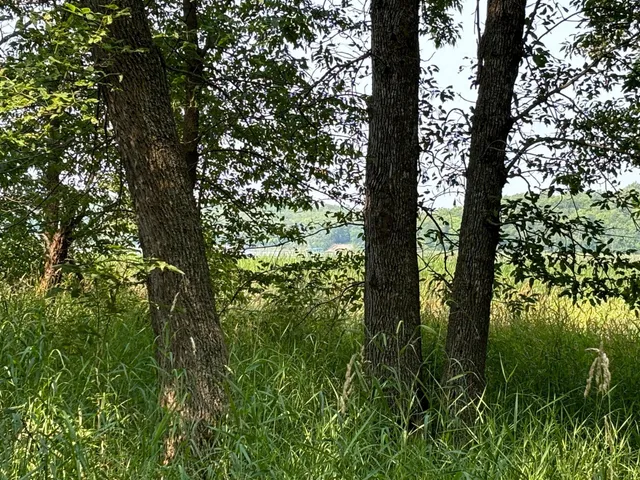 $175,000 | 1250 Island Lake Road, Lengby, MN 56651