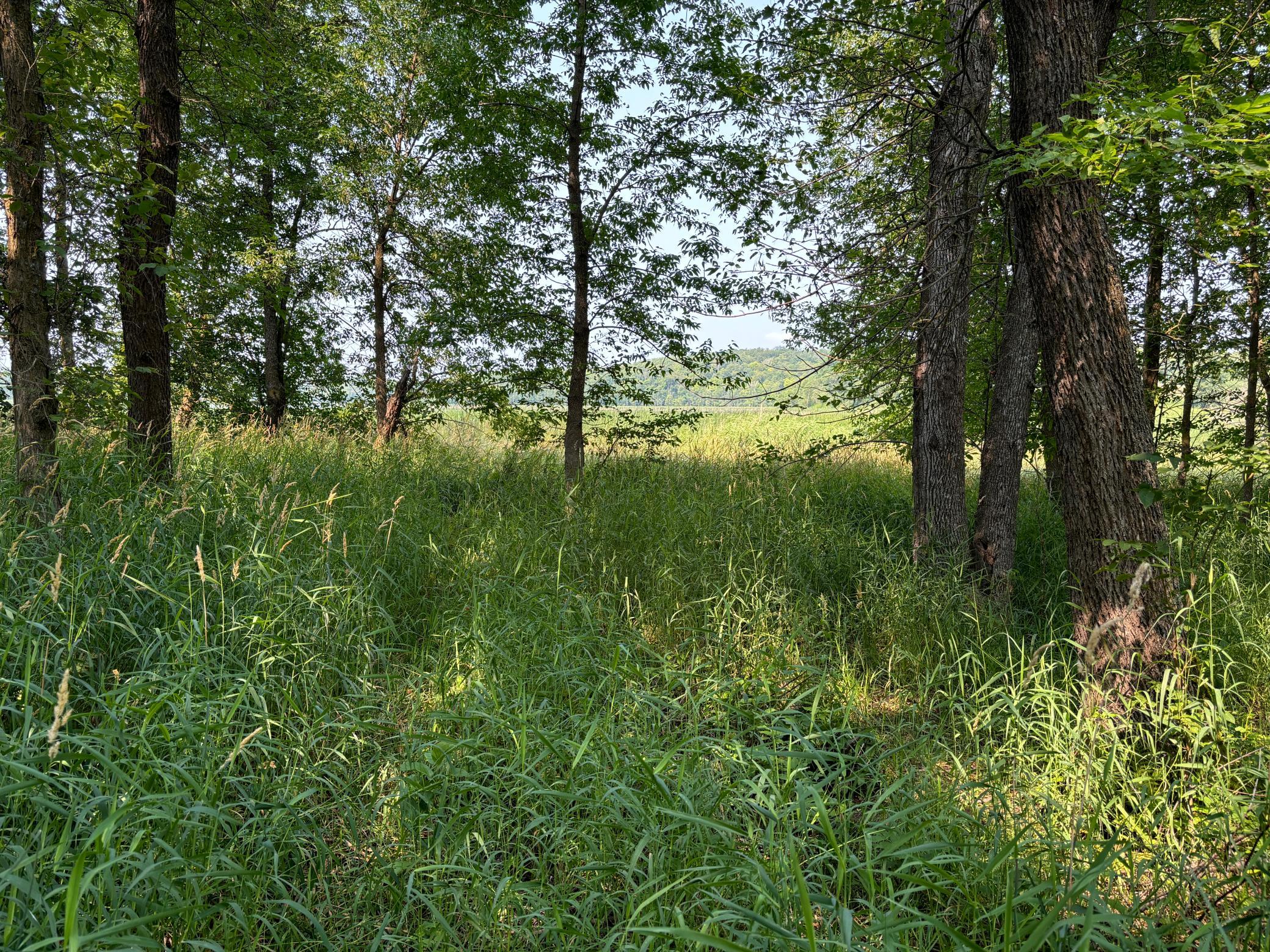 1250 Island Lake Road Lengby, MN 56651 - Photo 2 of 8