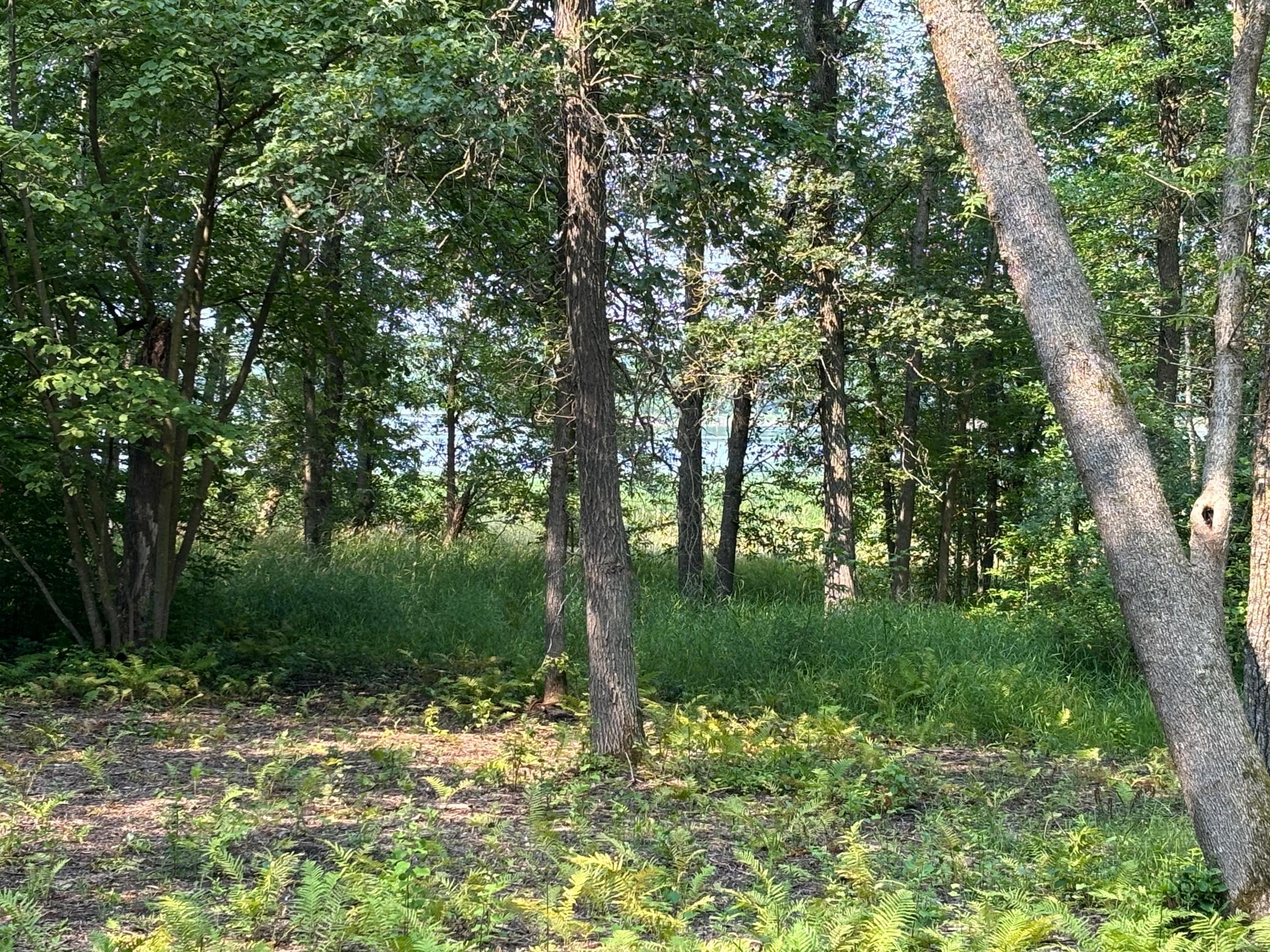 1250 Island Lake Road Lengby, MN 56651 - Photo 3 of 8