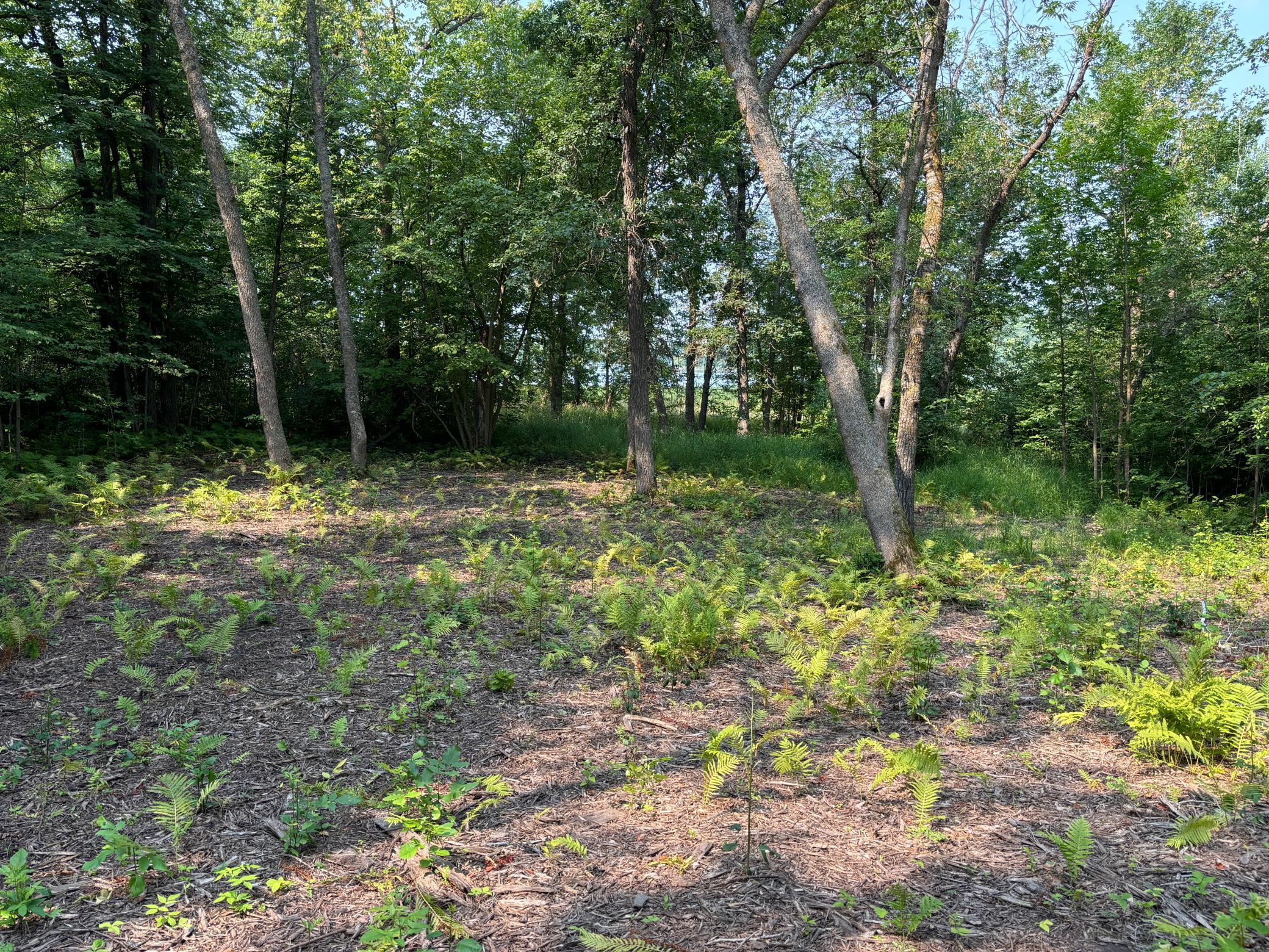 1250 Island Lake Road Lengby, MN 56651 - Photo 7 of 8