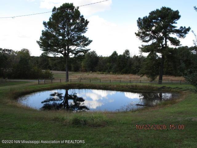 3116 Barr Road Coldwater, MS 38618 - Photo 17 of 24 3116 BARR RD PIC 8