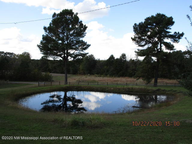 3116 Barr Road Coldwater, MS 38618 - Photo 18 of 24 3116 BARR RD PIC 9