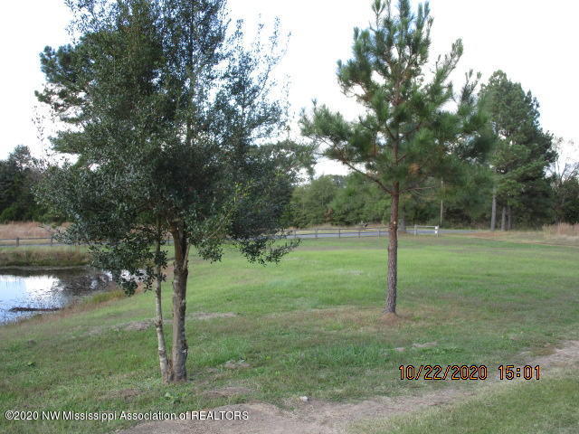 3116 Barr Road Coldwater, MS 38618 - Photo 19 of 24 3116 BARR RD PIC 10