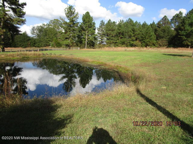3116 Barr Road Coldwater, MS 38618 - Photo 21 of 24 3116 BARR RD PIC 19