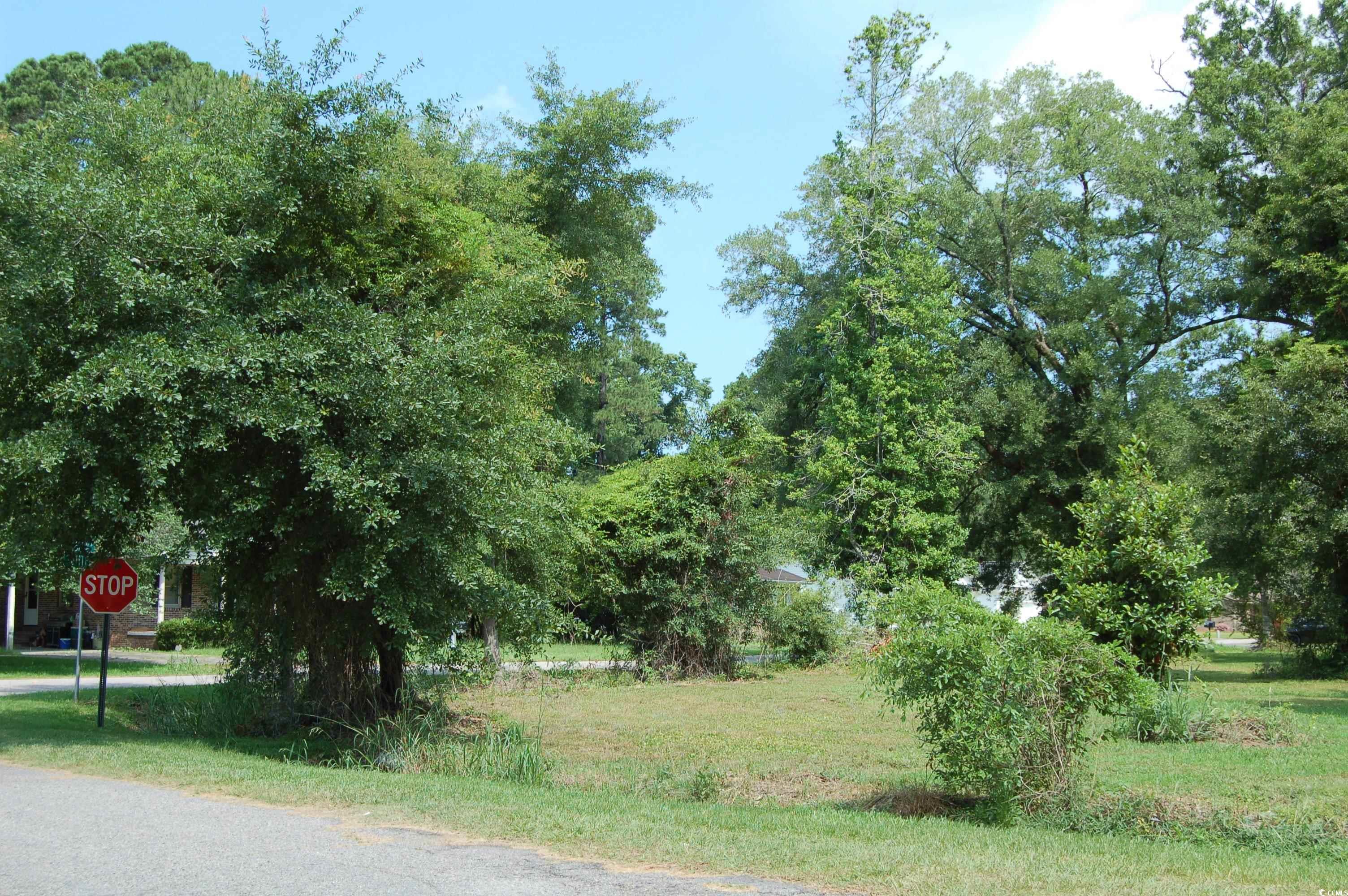 1824 Sumter Street Georgetown, SC 29440 - Photo 2 of 5