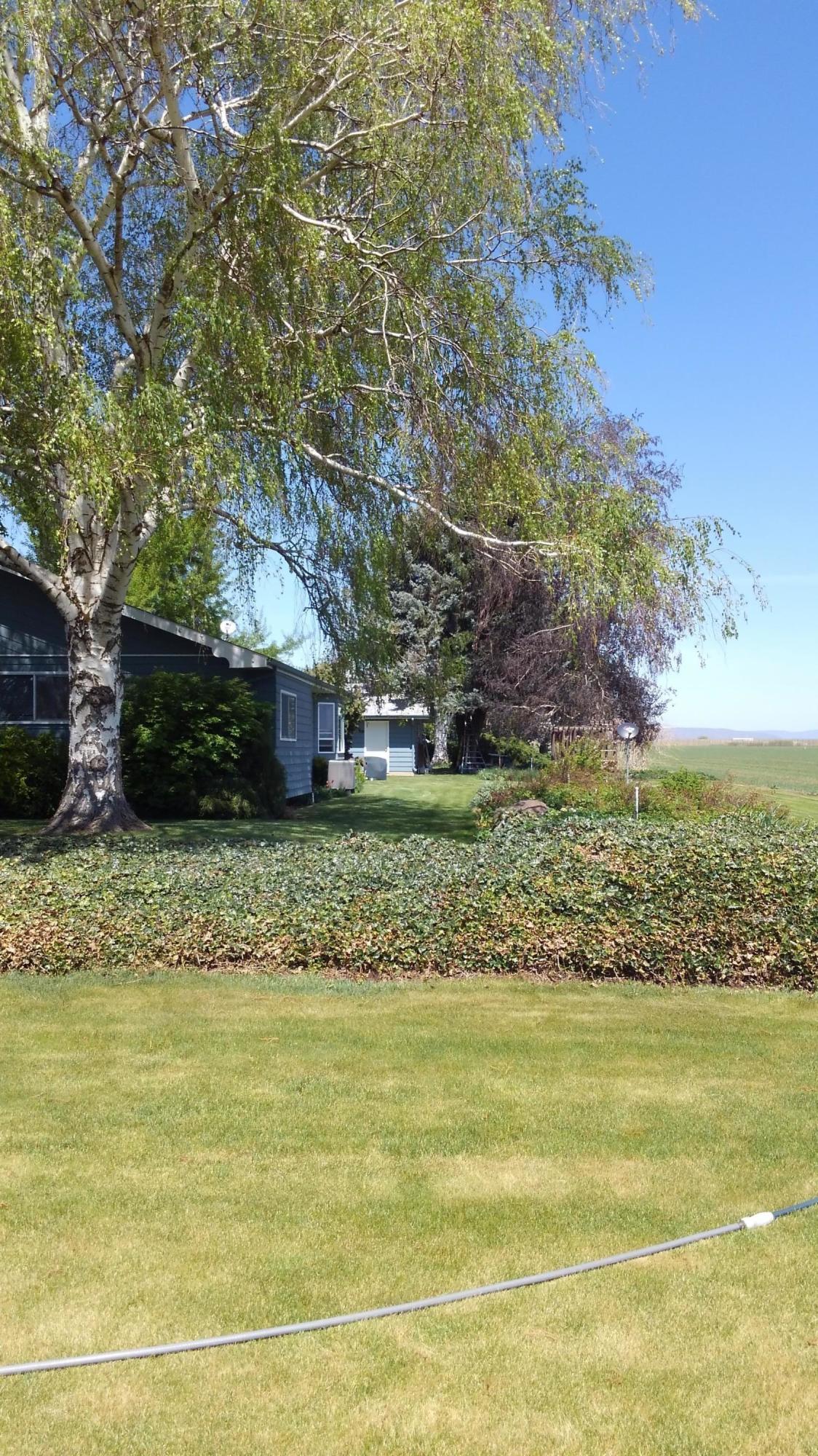 10043 Fort Road Wapato, WA 98951 - Photo 35 of 64 a view of a swimming pool with a yard
