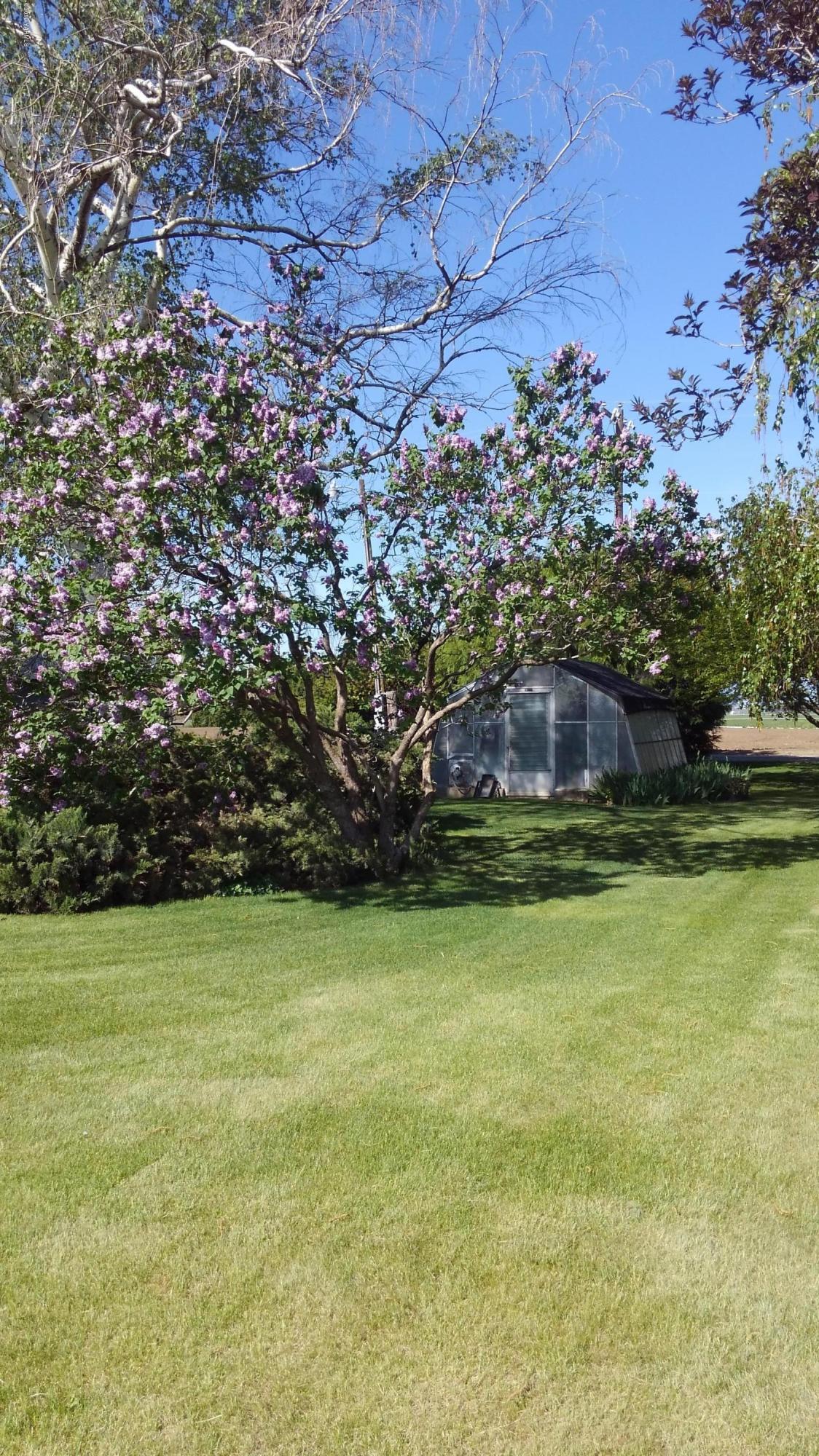 10043 Fort Road Wapato, WA 98951 - Photo 5 of 64 4-Views of Back Yard (2)