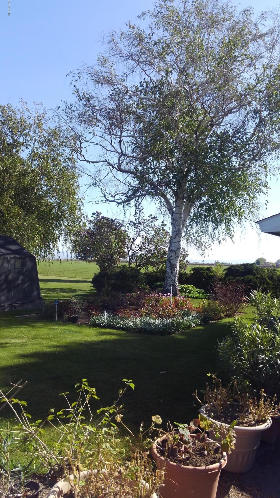 10043 Fort Road Wapato, WA 98951 - Photo 10 of 64 6-Views of Yard and Landscaping (2)