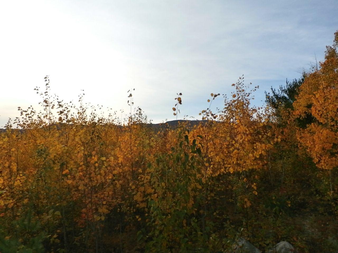 2 West Side Road Dixfield, ME 04224 - Photo 4 of 13 PA080320