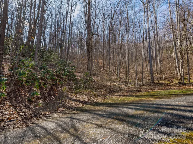 $55,000 | 99999 Propst Road, Candler, NC 28715