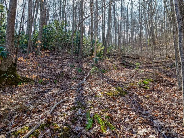 $55,000 | 99999 Propst Road, Candler, NC 28715