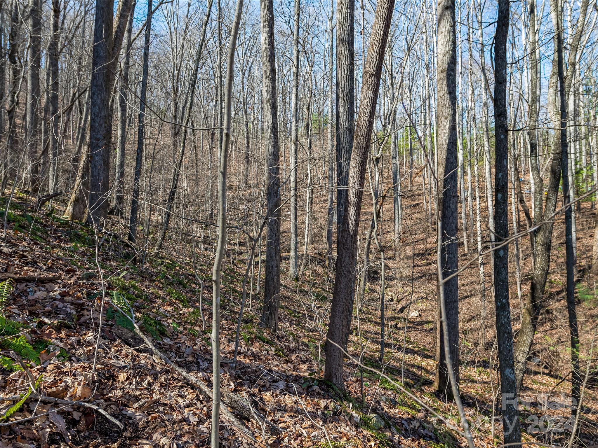 99999 Propst Road Candler, NC 28715 - Photo 15 of 32