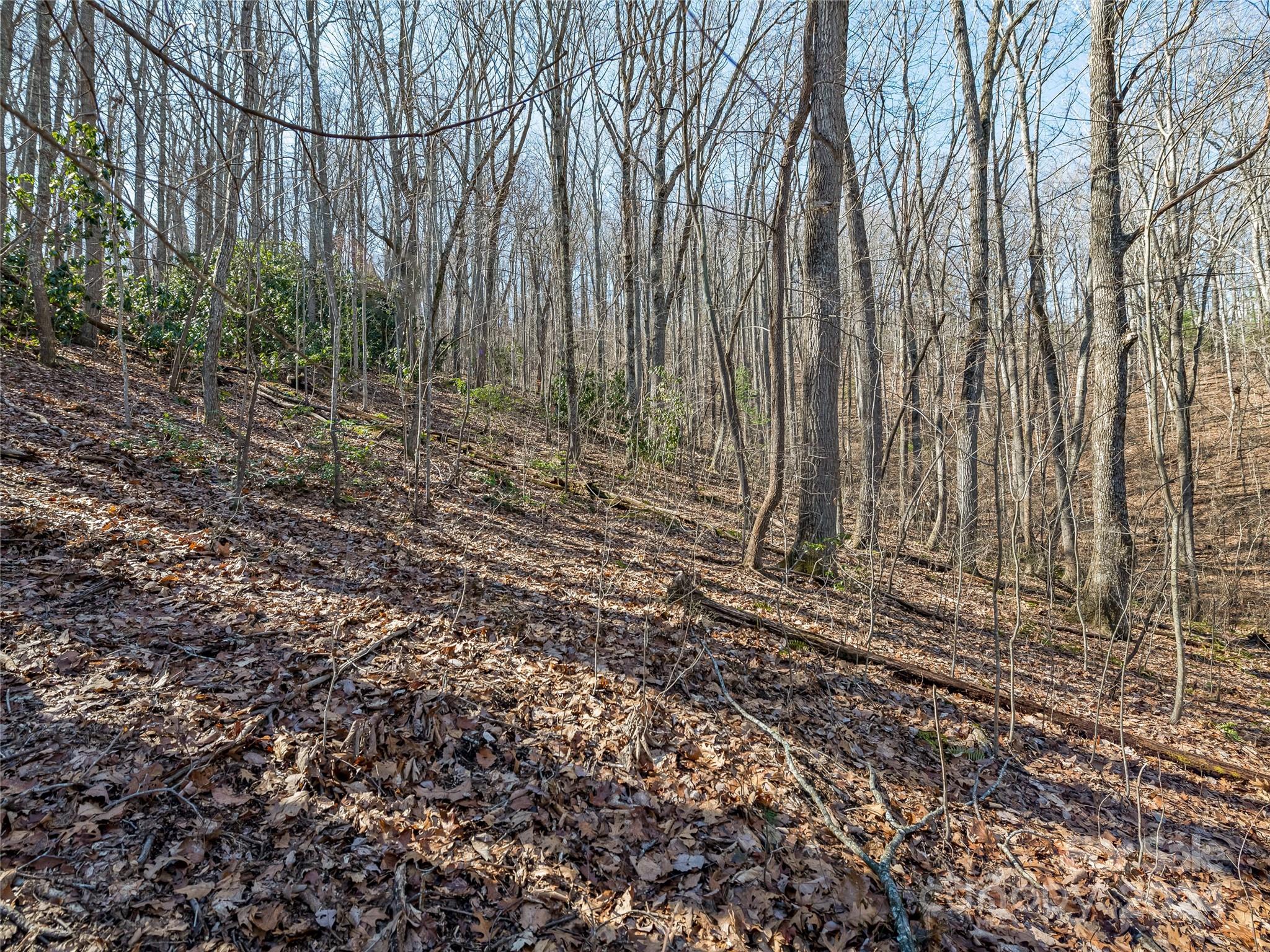 99999 Propst Road Candler, NC 28715 - Photo 16 of 32