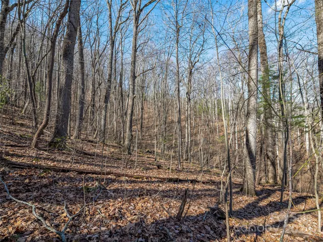 $55,000 | 99999 Propst Road, Candler, NC 28715