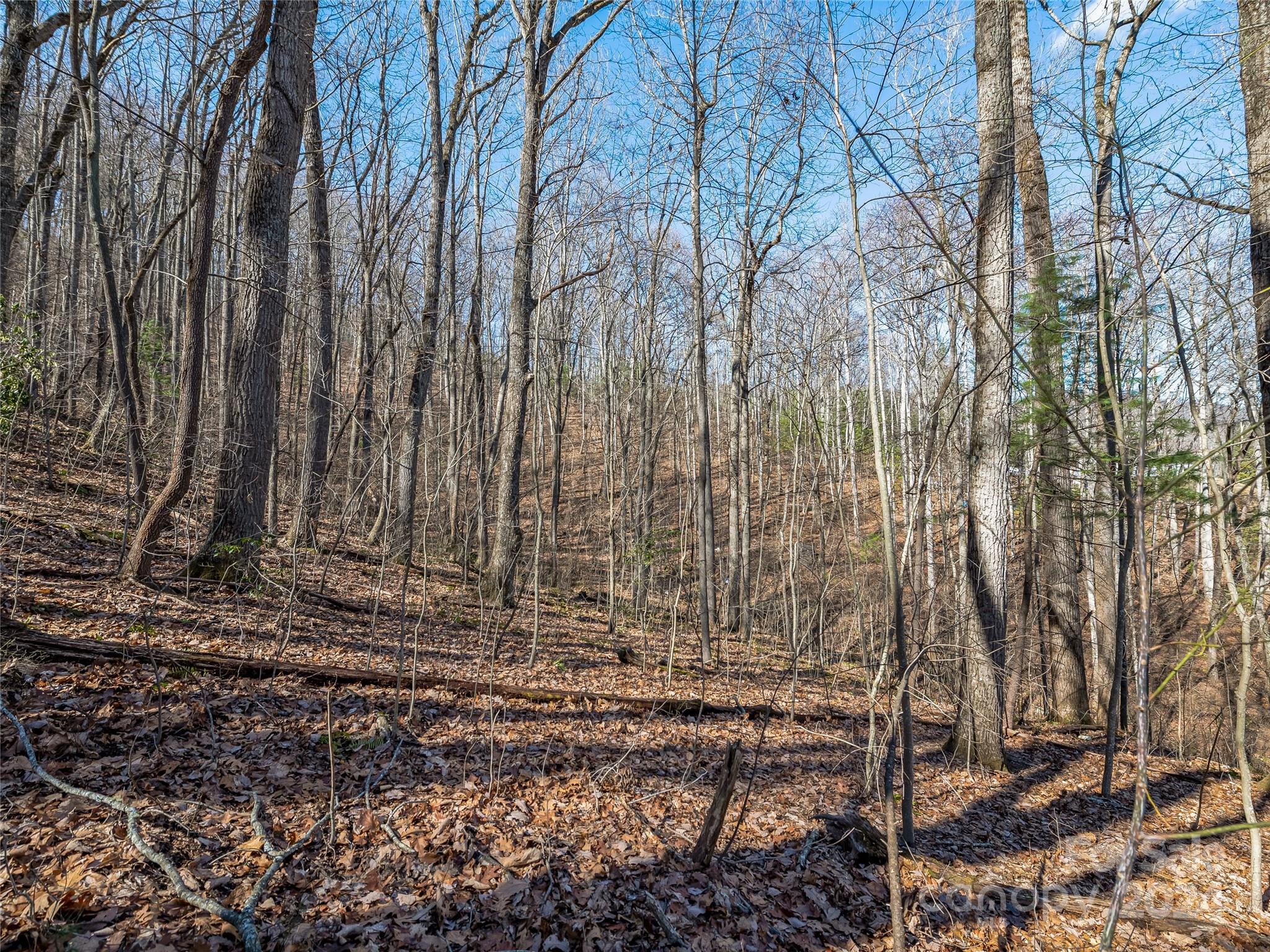 99999 Propst Road Candler, NC 28715 - Photo 17 of 32