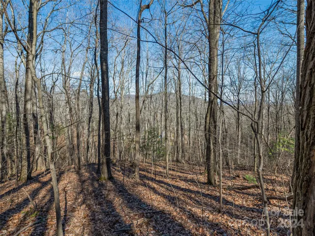 $55,000 | 99999 Propst Road, Candler, NC 28715