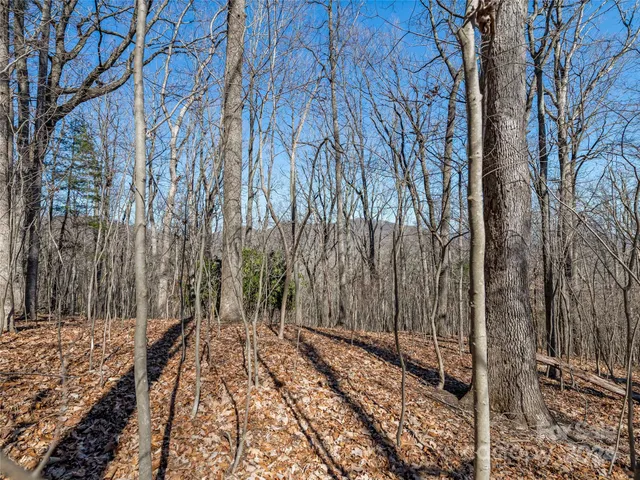 $55,000 | 99999 Propst Road, Candler, NC 28715