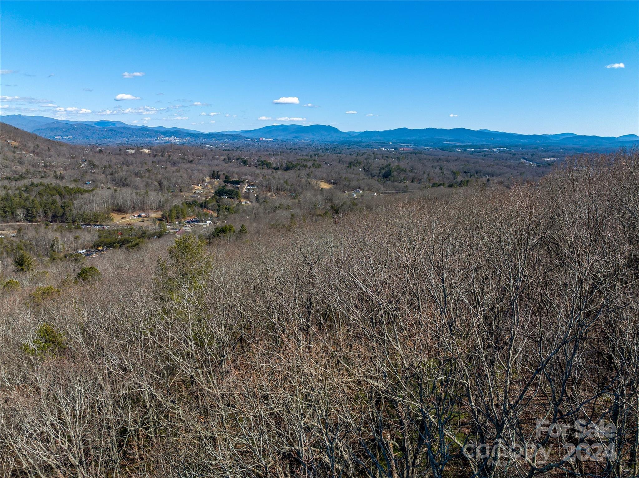 99999 Propst Road Candler, NC 28715 - Photo 21 of 32