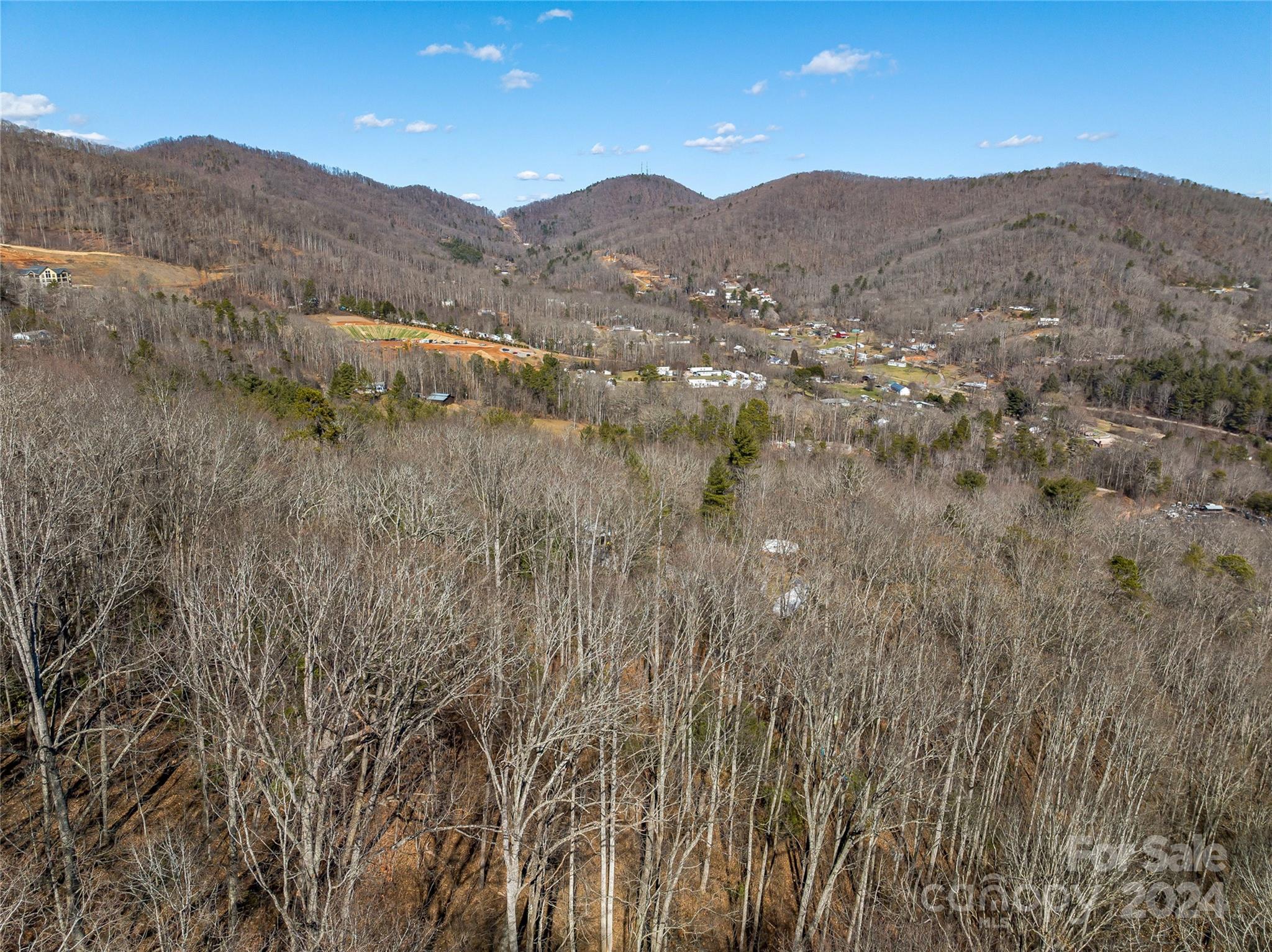 99999 Propst Road Candler, NC 28715 - Photo 22 of 32