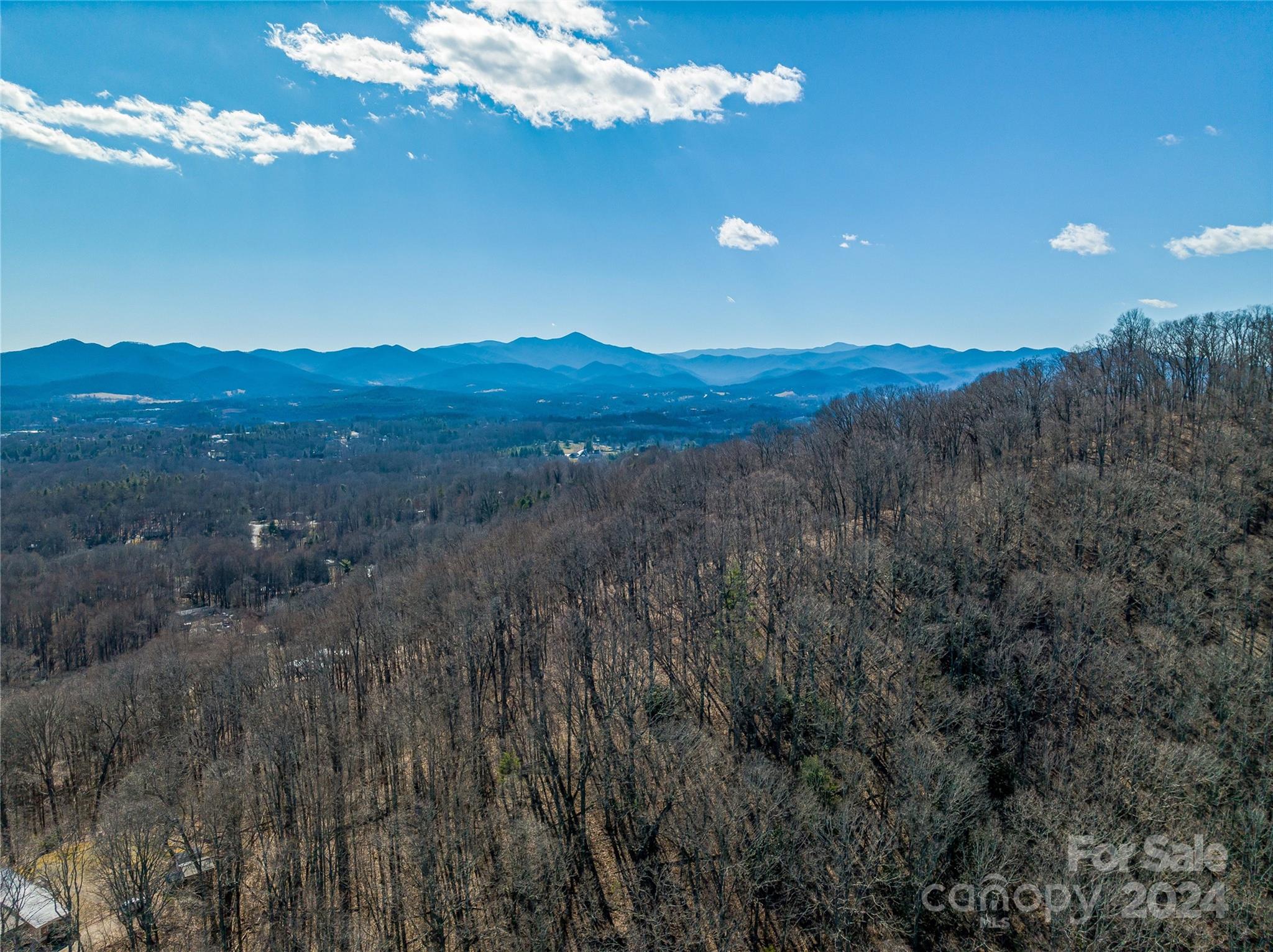 99999 Propst Road Candler, NC 28715 - Photo 23 of 32