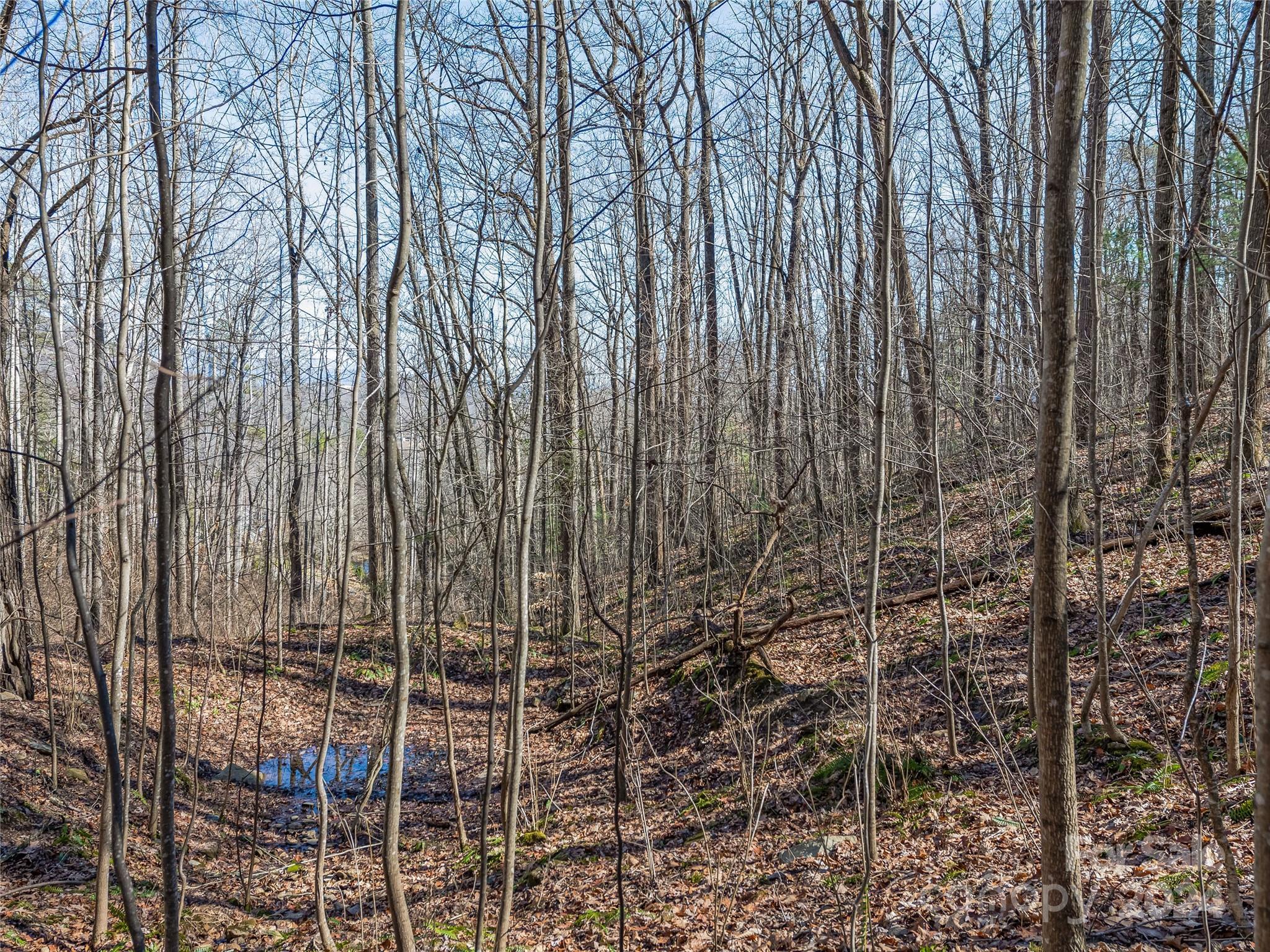 99999 Propst Road Candler, NC 28715 - Photo 28 of 32